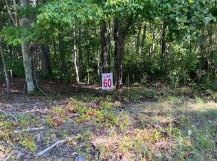 60 Honeysuckle Way, Ellijay, GA 30540