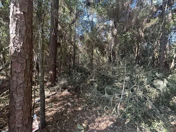 334 Powdrill, Buna, TX 77612