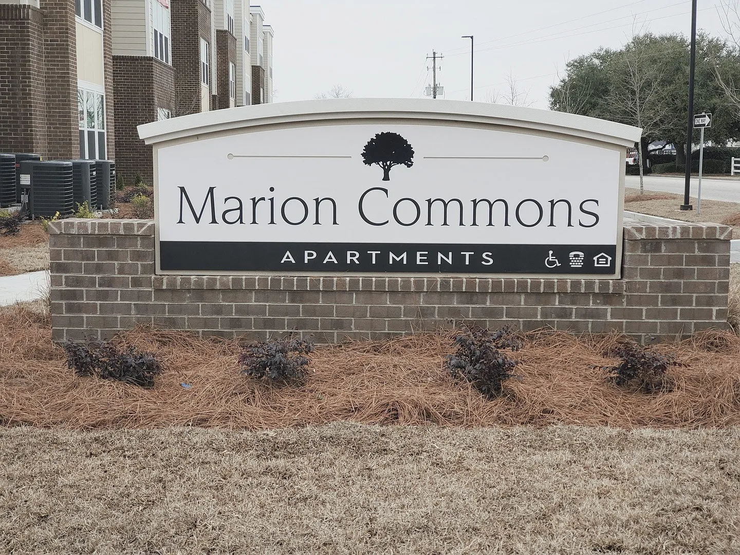 Marion Commons (45+) — Photo 2