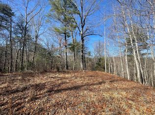 197 Terrapin Dr, Turtletown, TN 37391