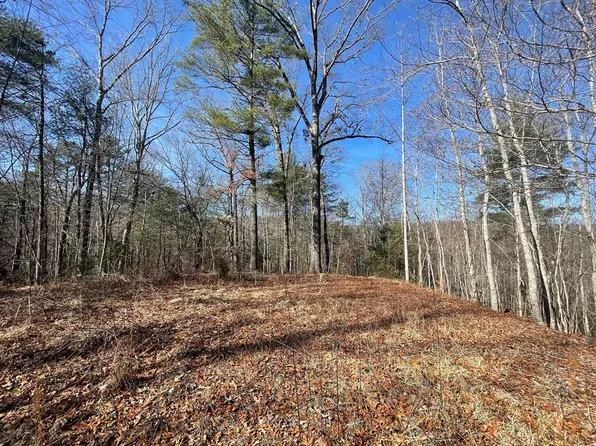 197 Terrapin Dr, Turtletown, TN 37391