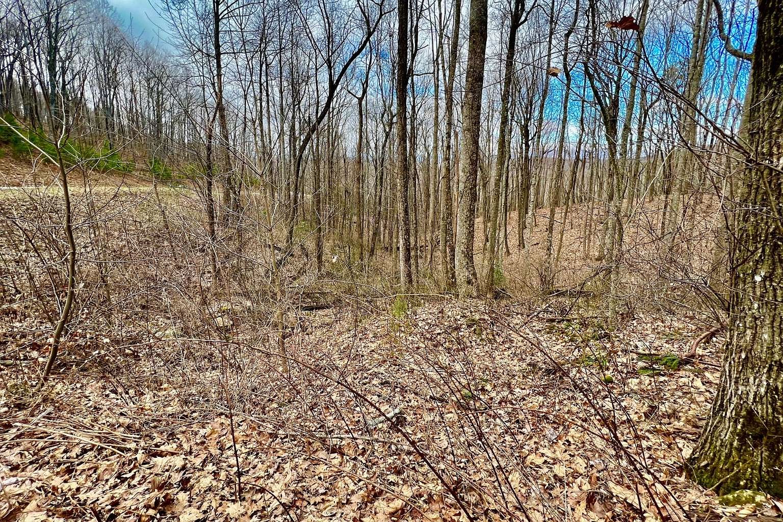 164 Falling Waters, Ellijay, GA 30536 Zillow
