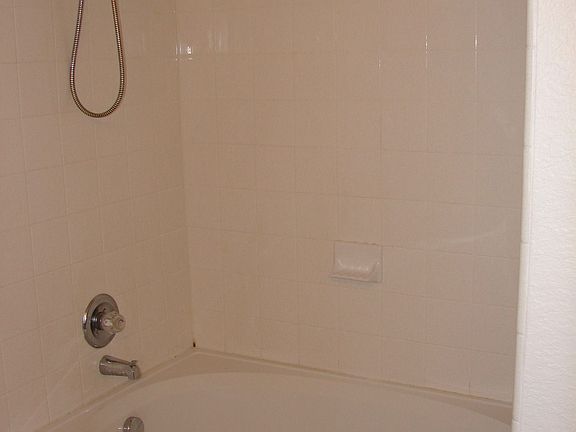 Master Bath Garden Tub