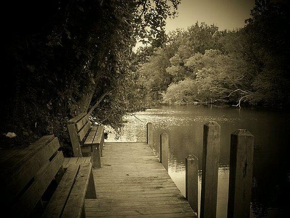 5th image of 1903 River Dr #A