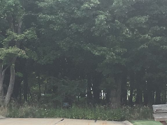 Wooded lot