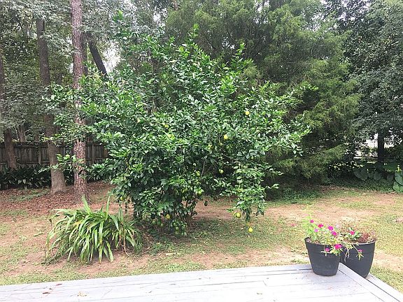 5th image of 2909 Gallahadion Ct