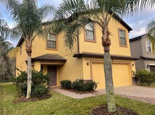 20024 Date Palm Way, Tampa, FL 33647