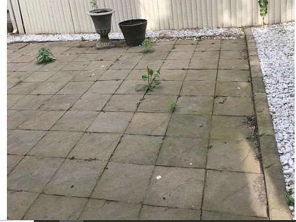 Exclusive rear patio/yard
