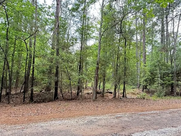 R033231 Dusky Ln, Brookeland, TX 75931