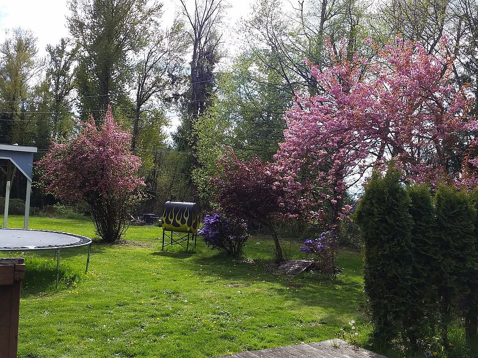 Back yard in spring