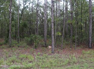 11225 Tinamou Ave, Brooksville, FL 34614