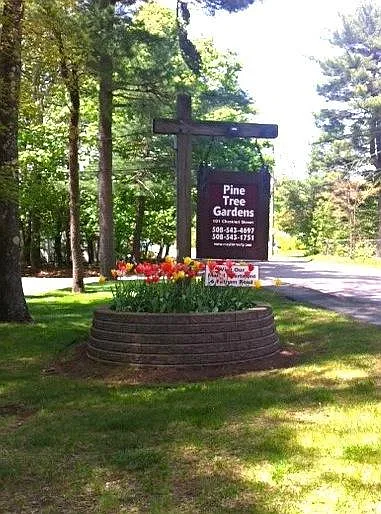 Pine Tree Garden