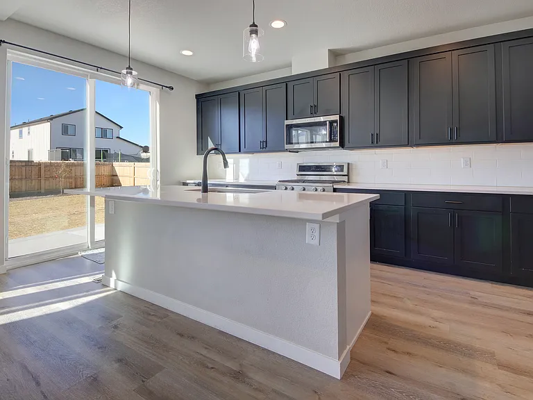 462 Blanket Flower St — Photo 6