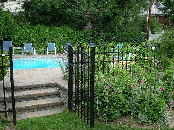 pool and garden