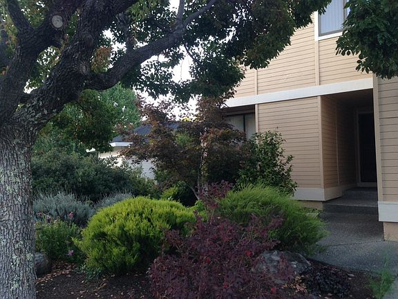 Front garden