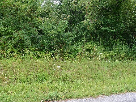 4th image of Meadowview Dr Lot 57
