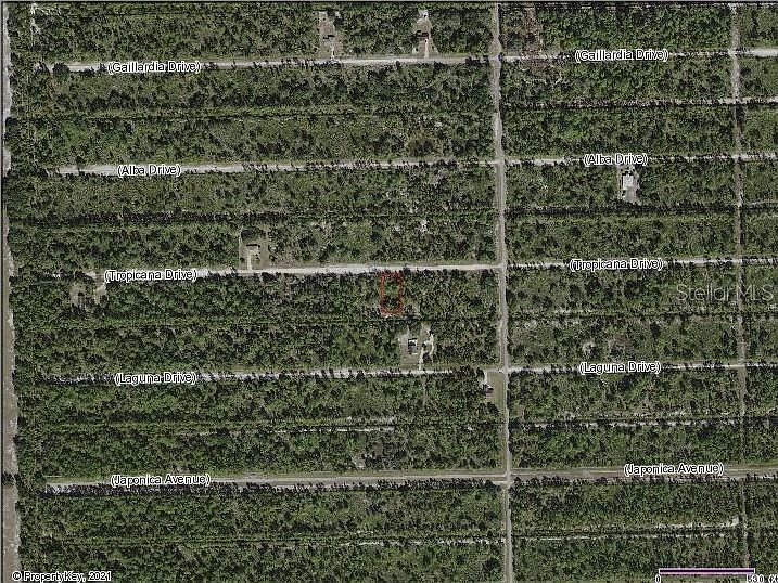 2nd image of 1011 Tropicana Dr