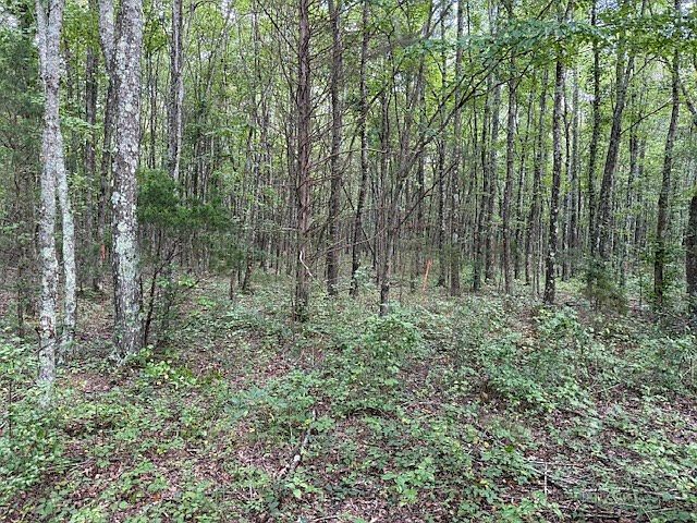 2nd image of 1858 Goforth Rd