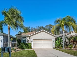 21009 Tangor Rd, Land O Lakes, FL 34637