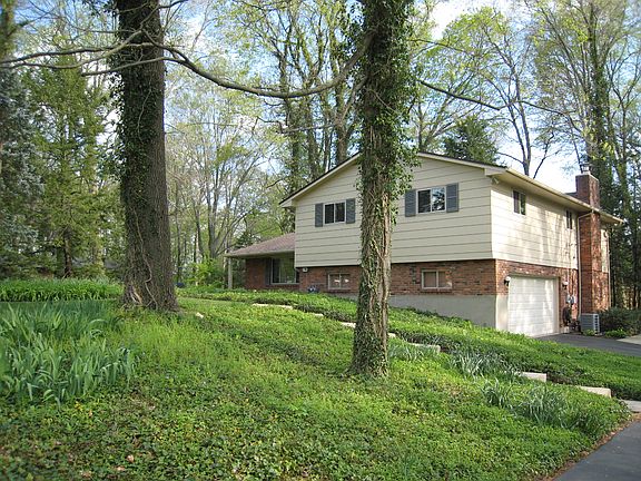 2nd image of 408 Limberlost Trl