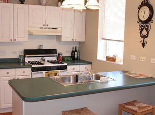 1955 W George St #ONEE, Chicago, IL 60657