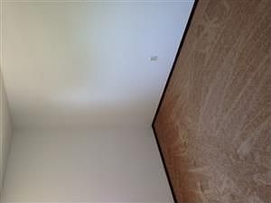 2nd image of 1613 Harvester Ln