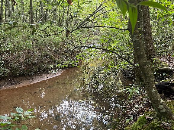 5th image of 0 Hidden Lake Pkwy #32
