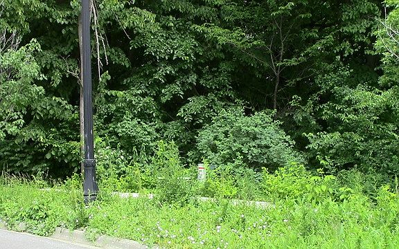 5th image of S River Rd