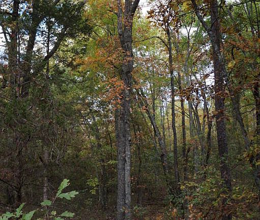 5th image of 932 County Road 3883
