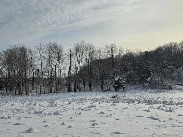 W Arthur Rd, Rothbury, MI 49452