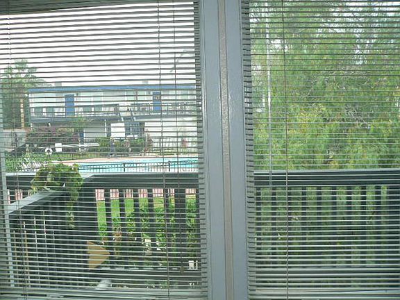 4th image of 3402 Ocean Dr APT 17