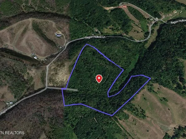 821 Ragon Hollow Ln, Midway, TN 37809