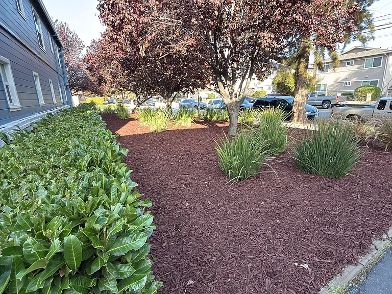 675 Johanna Ave #3 — Photo 20