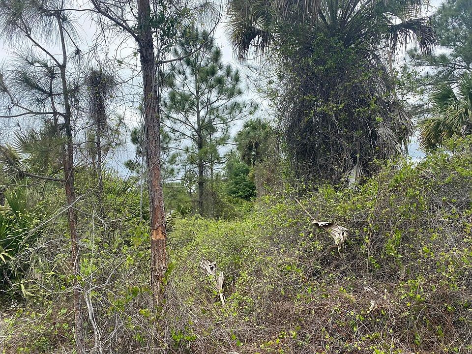 1st image of 585 S Palomino Street