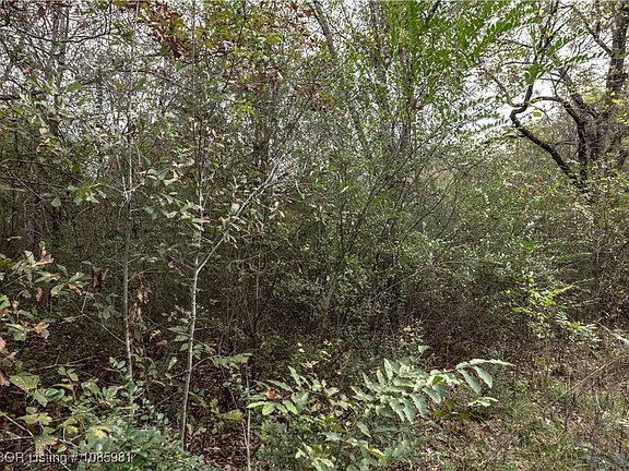 4th image of D2037/east Side Rd