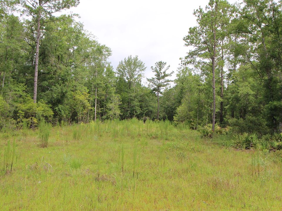 2nd image of Xx Old Palmetto Path