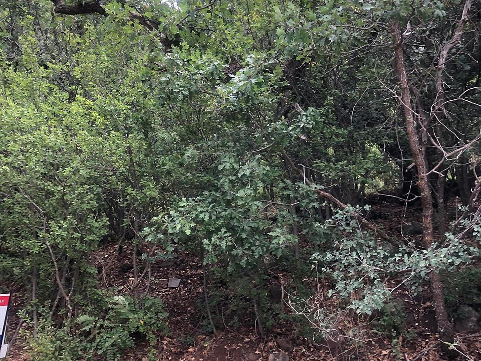 110 Ponderosa Dr 110, Mormon Lake, AZ 86038 Zillow