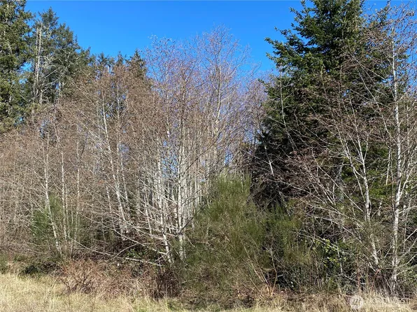 23800 Next to Elm, Ocean Park, WA 98640