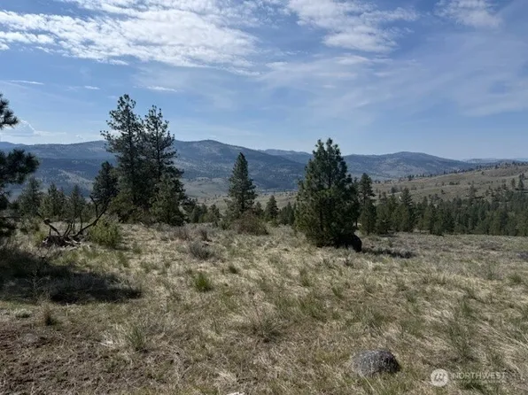 123 W Cayuse Mtn rd, Tonasket, WA 98855
