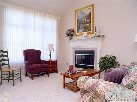 Gas Fireplace.jpg