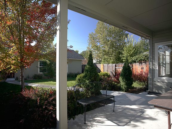 Backyard Looking Back