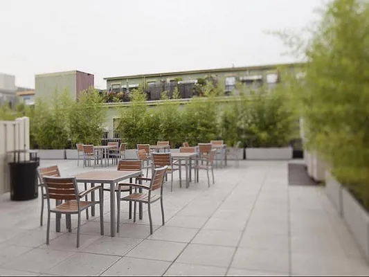 Rented by NY Casa Group | media 25