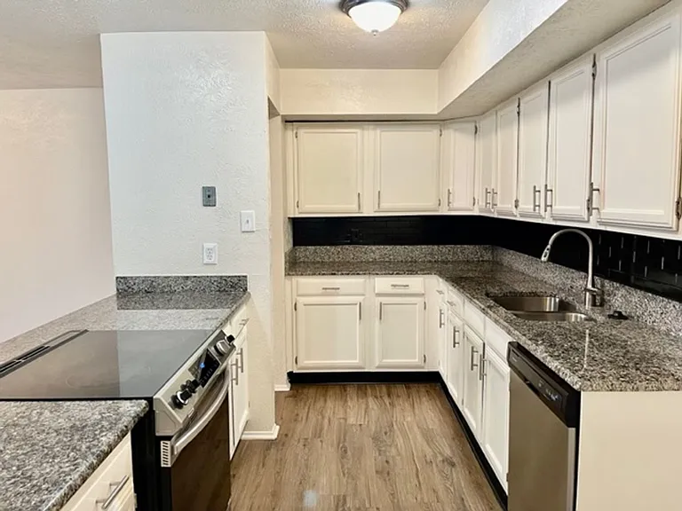4020 Blue Flag Ln — Photo 9