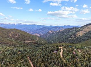 162 Aspen Loop Rd, Idaho Springs, CO 80452