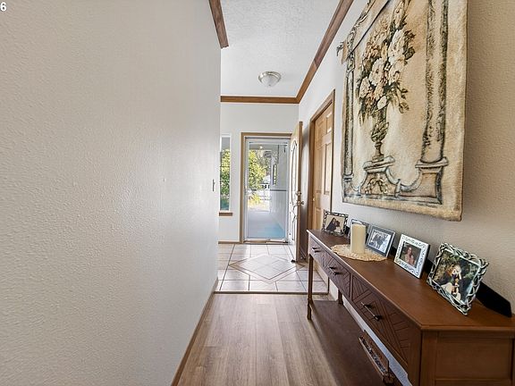 4th image of 517 Rosichelli Dr
