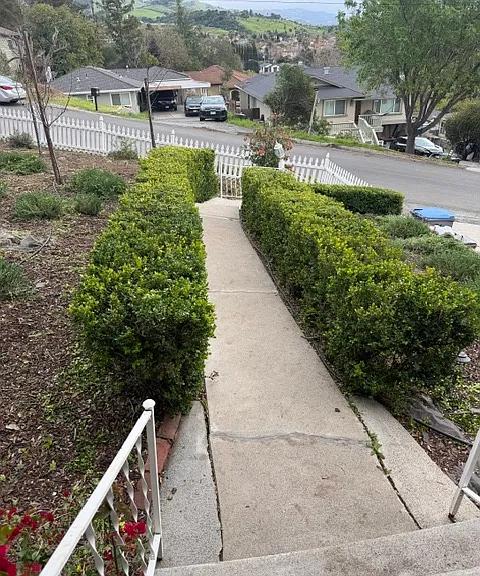 15175 Rosemar Ave — Photo 1