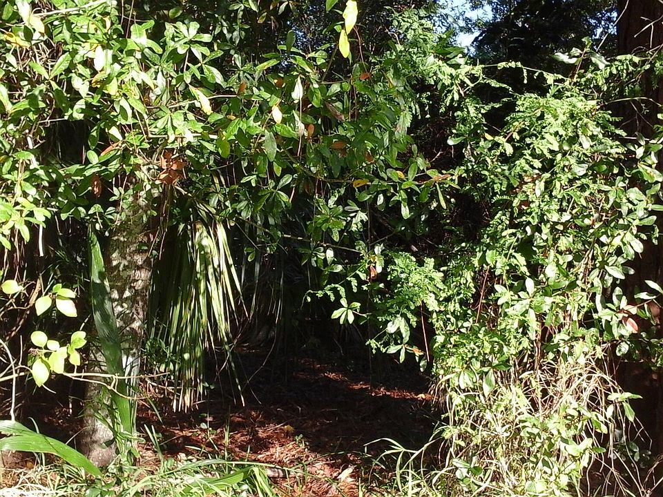 2nd image of 737 Benedictine Terrace