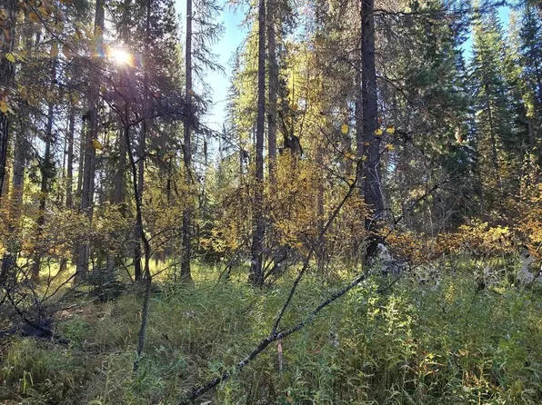 1057 Tamarack Ln, Troy, MT 59935