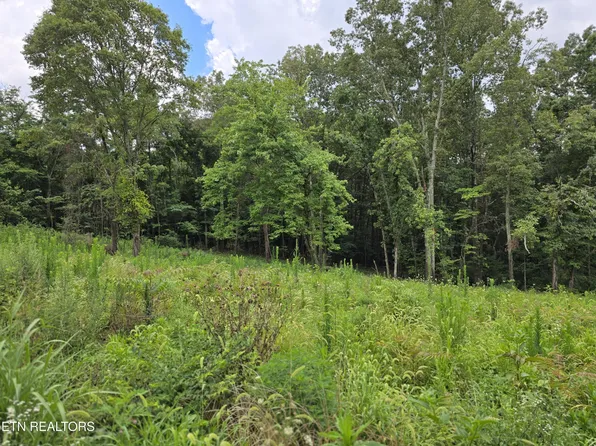 270 Wells Rd Lot 6, Powell, TN 37849