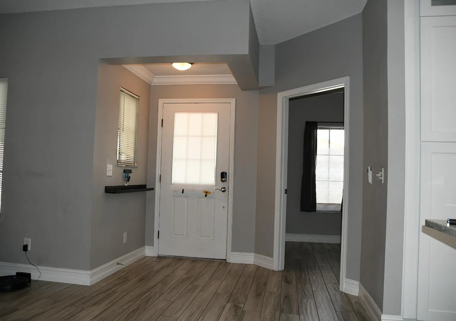 1009 Falling Leaf St — Photo 4